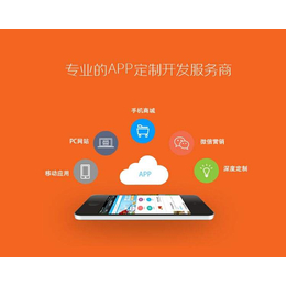 軟件開(kāi)發(fā) app定制開(kāi)發(fā) 小程序開(kāi)發(fā) 商城 官網(wǎng)制作